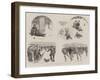 Cause and Effect, the Penalties of Sports-William Ralston-Framed Giclee Print