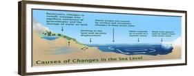 Causes of Changes in Sea Level-Gwen Shockey-Framed Giclee Print