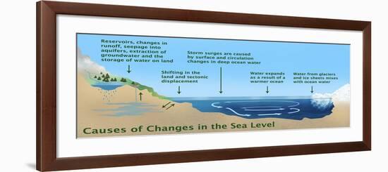 Causes of Changes in Sea Level-Gwen Shockey-Framed Giclee Print