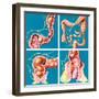 Causes of Constipation-John Bavosi-Framed Premium Photographic Print