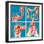 Causes of Constipation-John Bavosi-Framed Premium Photographic Print