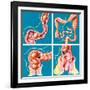 Causes of Constipation-John Bavosi-Framed Photographic Print