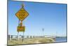 Causeway Bridge, Louisiana-Natalie Tepper-Mounted Photo