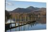 Causey Pike from the boat landing, Derwentwater, Keswick, Lake District National Park, Cumbria, Eng-James Emmerson-Stretched Canvas