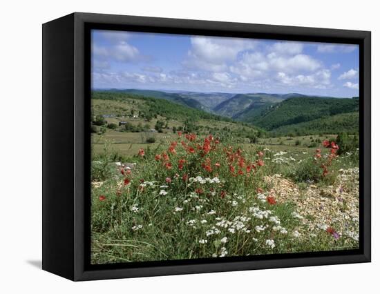 Causse Mejean, Gorges Du Tarn Behind, Lozere, Languedoc-Roussillon, France-David Hughes-Framed Stretched Canvas