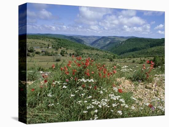 Causse Mejean, Gorges Du Tarn Behind, Lozere, Languedoc-Roussillon, France-David Hughes-Stretched Canvas