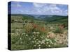 Causse Mejean, Gorges Du Tarn Behind, Lozere, Languedoc-Roussillon, France-David Hughes-Stretched Canvas