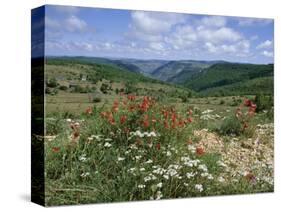 Causse Mejean, Gorges Du Tarn Behind, Lozere, Languedoc-Roussillon, France-David Hughes-Stretched Canvas