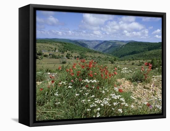 Causse Mejean, Gorges Du Tarn Behind, Lozere, Languedoc-Roussillon, France-David Hughes-Framed Stretched Canvas