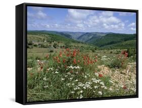 Causse Mejean, Gorges Du Tarn Behind, Lozere, Languedoc-Roussillon, France-David Hughes-Framed Stretched Canvas