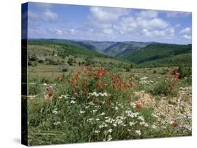 Causse Mejean, Gorges Du Tarn Behind, Lozere, Languedoc-Roussillon, France-David Hughes-Stretched Canvas