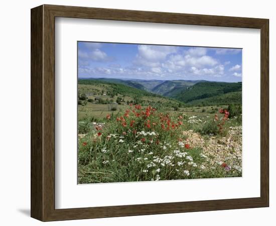 Causse Mejean, Gorges Du Tarn Behind, Lozere, Languedoc-Roussillon, France-David Hughes-Framed Photographic Print