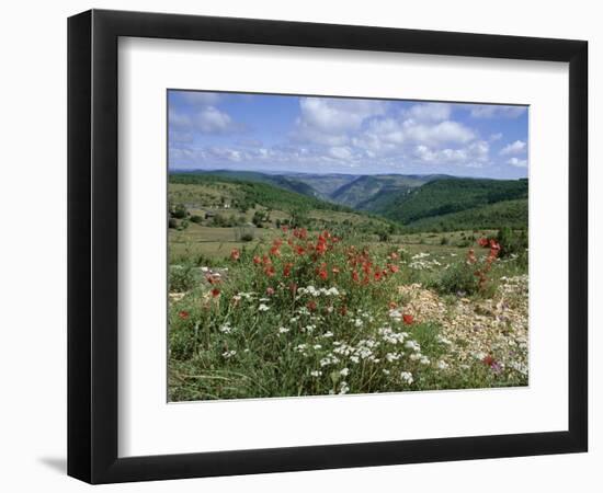 Causse Mejean, Gorges Du Tarn Behind, Lozere, Languedoc-Roussillon, France-David Hughes-Framed Photographic Print