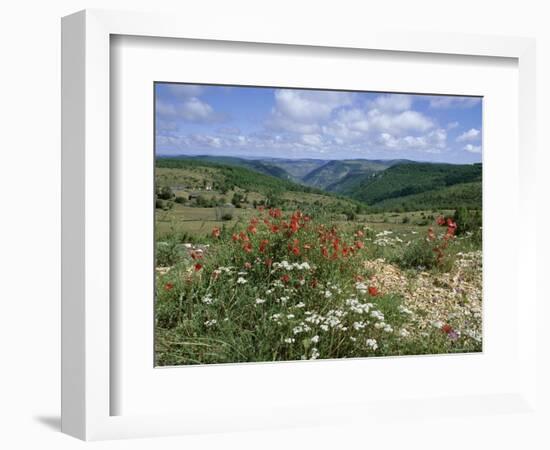 Causse Mejean, Gorges Du Tarn Behind, Lozere, Languedoc-Roussillon, France-David Hughes-Framed Photographic Print