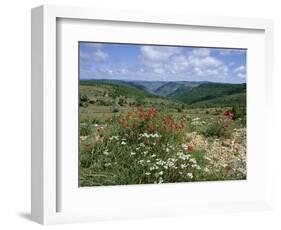 Causse Mejean, Gorges Du Tarn Behind, Lozere, Languedoc-Roussillon, France-David Hughes-Framed Photographic Print