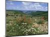 Causse Mejean, Gorges Du Tarn Behind, Lozere, Languedoc-Roussillon, France-David Hughes-Mounted Photographic Print