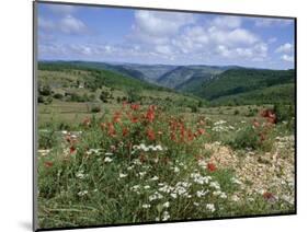 Causse Mejean, Gorges Du Tarn Behind, Lozere, Languedoc-Roussillon, France-David Hughes-Mounted Photographic Print