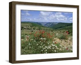 Causse Mejean, Gorges Du Tarn Behind, Lozere, Languedoc-Roussillon, France-David Hughes-Framed Photographic Print