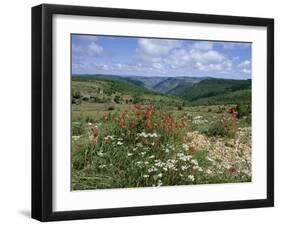 Causse Mejean, Gorges Du Tarn Behind, Lozere, Languedoc-Roussillon, France-David Hughes-Framed Photographic Print