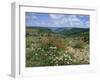 Causse Mejean, Gorges Du Tarn Behind, Lozere, Languedoc-Roussillon, France-David Hughes-Framed Photographic Print