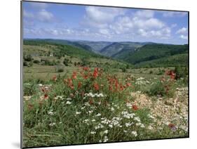 Causse Mejean, Gorges Du Tarn Behind, Lozere, Languedoc-Roussillon, France-David Hughes-Mounted Photographic Print