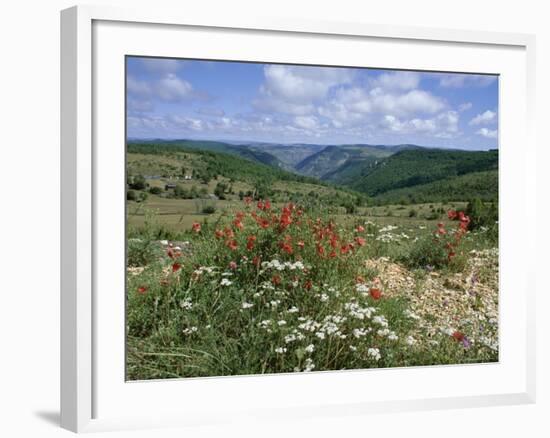 Causse Mejean, Gorges Du Tarn Behind, Lozere, Languedoc-Roussillon, France-David Hughes-Framed Photographic Print