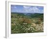 Causse Mejean, Gorges Du Tarn Behind, Lozere, Languedoc-Roussillon, France-David Hughes-Framed Photographic Print