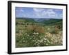 Causse Mejean, Gorges Du Tarn Behind, Lozere, Languedoc-Roussillon, France-David Hughes-Framed Photographic Print