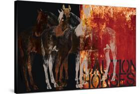 Caution Horses-Parker Greenfield-Stretched Canvas