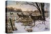 Cautious Crossing - Whitetails-Wilhelm Goebel-Stretched Canvas