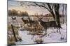 Cautious Crossing - Whitetails-Wilhelm Goebel-Mounted Giclee Print