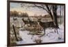 Cautious Crossing - Whitetails-Wilhelm Goebel-Framed Giclee Print