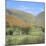 Cautley Spout, Sedbergh, Cumbria, England, UK-Roy Rainford-Mounted Photographic Print