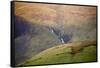 Cautley Spout, Yorkshire Dales National Park, Yorkshire, England, United Kingdom, Europe-Bill Ward-Framed Stretched Canvas