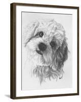 Cavachon-Barbara Keith-Framed Giclee Print