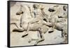 Cavalcade from the West Frieze of the Parthenon-null-Framed Stretched Canvas