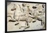 Cavalcade from the West Frieze of the Parthenon-null-Framed Photographic Print