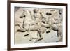 Cavalcade from the West Frieze of the Parthenon-null-Framed Photographic Print