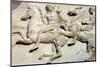Cavalcade from the West Frieze of the Parthenon-null-Mounted Photographic Print