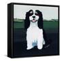 Cavalier King Charles, 1991-Maggie Rowe-Framed Stretched Canvas