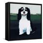 Cavalier King Charles, 1991-Maggie Rowe-Framed Stretched Canvas