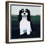 Cavalier King Charles, 1991-Maggie Rowe-Framed Giclee Print