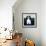 Cavalier King Charles, 1991-Maggie Rowe-Framed Giclee Print displayed on a wall