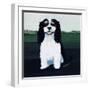 Cavalier King Charles, 1991-Maggie Rowe-Framed Giclee Print