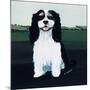 Cavalier King Charles, 1991-Maggie Rowe-Mounted Giclee Print