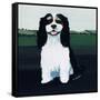 Cavalier King Charles, 1991-Maggie Rowe-Framed Stretched Canvas