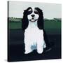 Cavalier King Charles, 1991-Maggie Rowe-Stretched Canvas