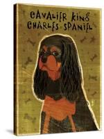 Cavalier King Charles (black and tan)-John W Golden-Stretched Canvas