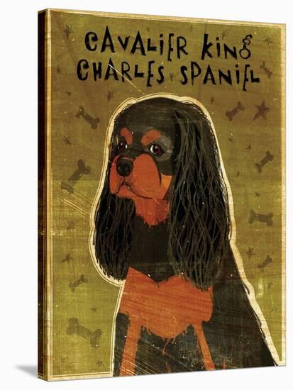 Cavalier King Charles (black and tan)-John W Golden-Stretched Canvas