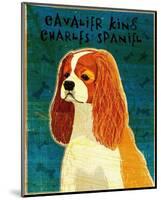 Cavalier King Charles (blenheim)-John Golden-Mounted Art Print